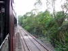 picture-0009.jpg