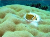 IMG_0951.jpg