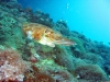 IMG_1474.jpg