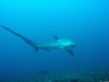 IMG_1899.jpg