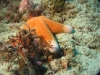 picture-0010.jpg