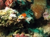 picture-0017.jpg