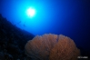 DSC00445.JPG