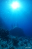 DSC00854.JPG