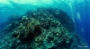 DSC00891.JPG