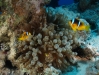 DSC01013.JPG