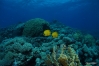 DSC01023.JPG