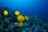 DSC01041.JPG