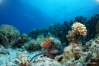 DSC01057.JPG