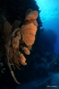 DSC01103.JPG