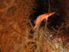 DSC011611.JPG