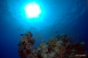 DSC01168.JPG