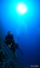 DSC01187.JPG