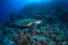 DSC01189.JPG