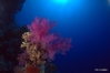 DSC01248.JPG