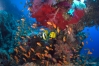 DSC01264.JPG