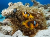DSC01318.JPG