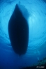 DSC01336.JPG