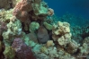 DSC01469.JPG
