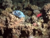 DSC01506.JPG