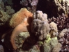 DSC01513.JPG