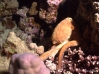 DSC01514.JPG