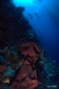 DSC01560.JPG