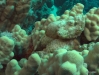 DSC01793.JPG