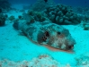 DSC01795.JPG