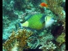 IMG_0786.jpg