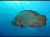 IMG_0841.jpg