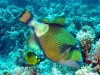 IMG_0559.JPG