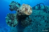 DSC00722.JPG