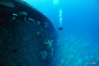 DSC00796.JPG