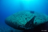 DSC01636-1.JPG