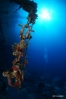 DSC01713.JPG