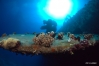DSC01727.JPG