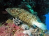 IMG_1253.JPG