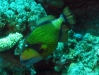 IMG_1365.JPG