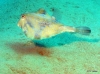 IMG_1443.JPG