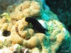 IMG_1569.JPG