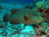 IMG_1654.JPG