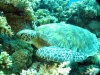 IMG_2026.JPG