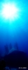 DSC00851.JPG