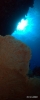 DSC01164.JPG