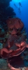 DSC01564.JPG