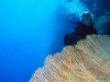 IMG_2275.JPG